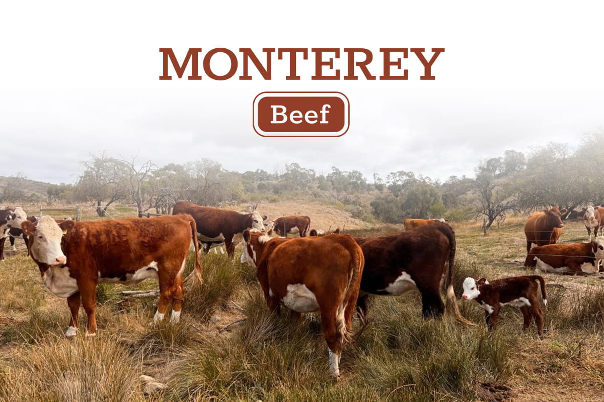 Monterey Beef Premium Hereford Beef